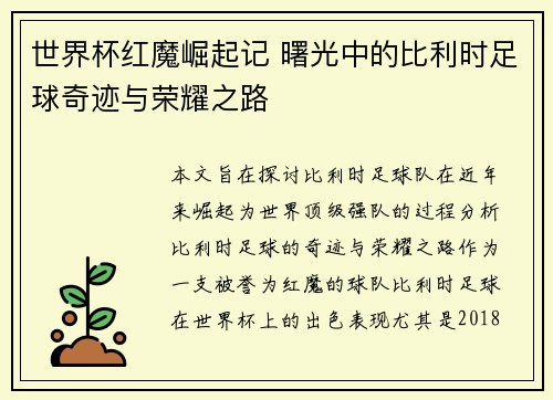 世界杯红魔崛起记 曙光中的比利时足球奇迹与荣耀之路