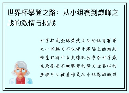 世界杯攀登之路：从小组赛到巅峰之战的激情与挑战